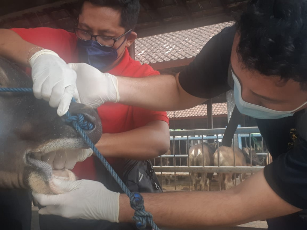 Tetap Layani Rekomendasi Pembelian Solar Subsidi Bagi Petani